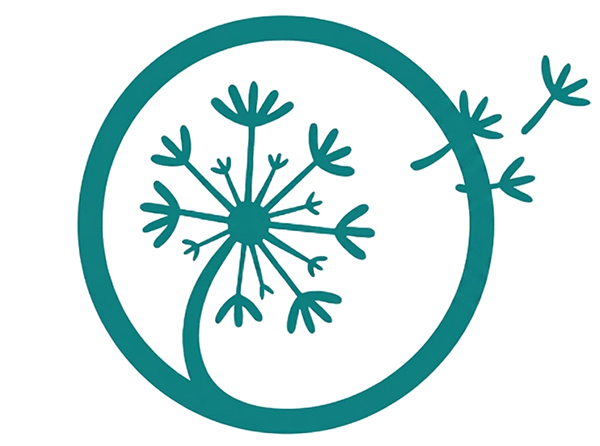 Grupo de Pesquisa Conexões